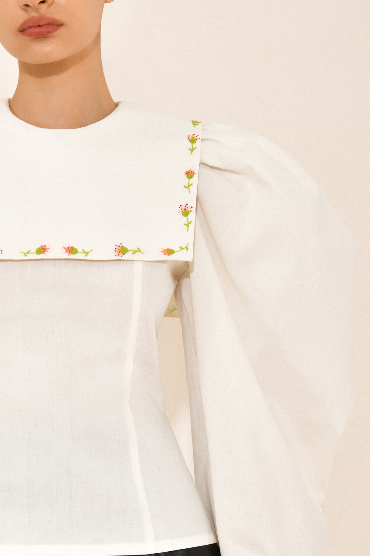 Blouse with embroidered collar 3